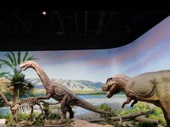 -国家自然博物馆