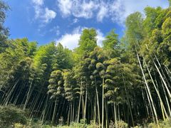 -莫干山风景区