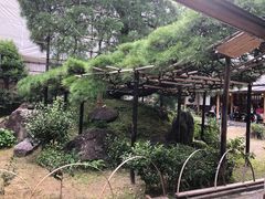 -中村藤吉(本店)