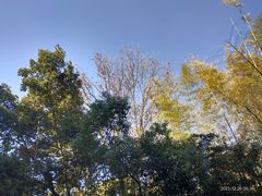 -西湖风景区十里琅珰-五云山