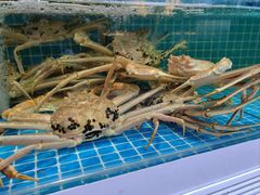 -本达人海鲜烧烤·朝鲜族风味(发展店)