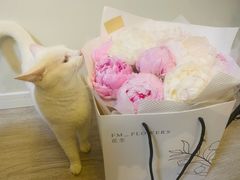 -花生FM_FLOWERS