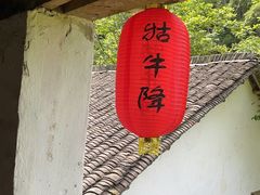 -石台牯牛降景区