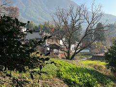 -塔川景区