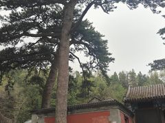 -阳台山自然风景区
