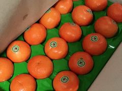 -沈阳市八家子水果批发市场