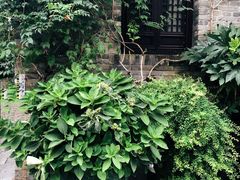 -回龙窝历史文化街区