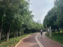 -安宁市宁湖森林公园