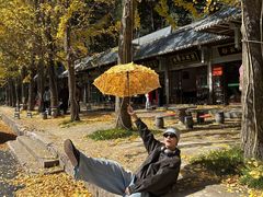 -洛阳白云山景区