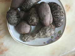 -温州博物馆