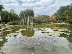 -中国科学院西双版纳热带植物园