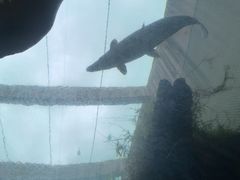 -新加坡水上探险乐园