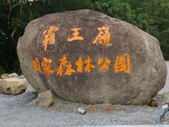 -海南霸王岭国家森林公园
