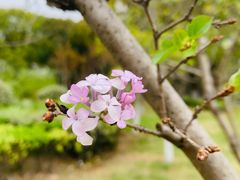 -白塘生态植物园