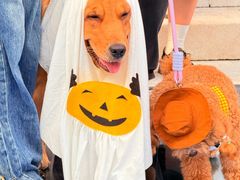 -华谊兄弟（长沙）电影小镇