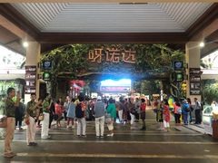 -呀诺达热带雨林