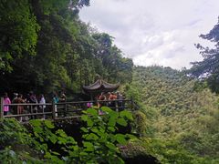 -莫干山风景区