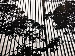 -黑木原精致料理·铁板烧