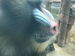 -鄂尔多斯野生动物园