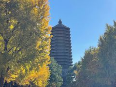 -玲珑塔公园