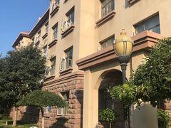 -山东鲁能乒乓球学校