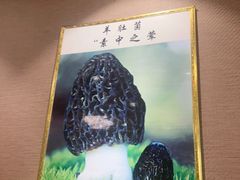 -菌之家·专业纯野生菌火锅·特色炒菌