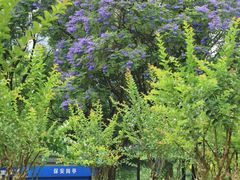 -重庆彩云湖湿地公园
