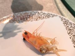 -阿娘家·原生态农家菜(国顺东路店)