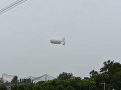 -紫颐香薰山谷景区