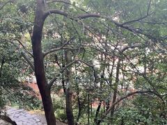 -黔灵山公园