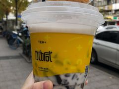 -加减茶饮(高沙店)