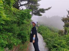 -牛背梁国家森林公园