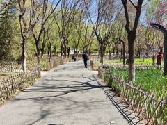 -丰台科技园生态主题公园