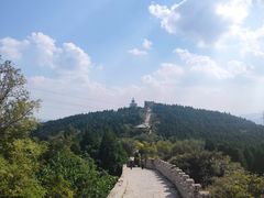 -原山国家森林公园