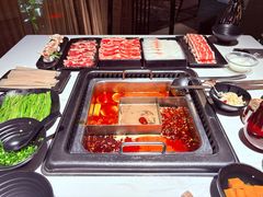 -鼎膳常火锅(华阳店)