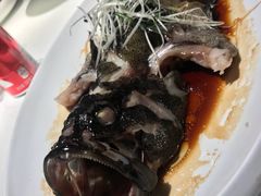 清蒸石斑鱼-鱼乐轩·俄罗斯海鲜直供餐厅(群力店)