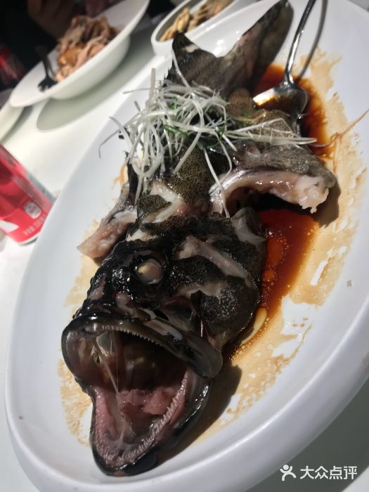 鱼乐轩·俄罗斯海鲜直供餐厅(群力店)清蒸石斑鱼图片