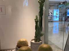 -喜茶(深圳东门1234店)