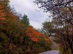 -秦岭风景区