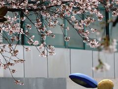 -南浦大桥长途旅游客运站