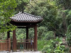-火炉山森林公园