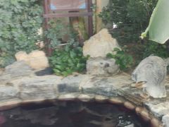 -中家鑫园温泉酒店鑫悦汤泉