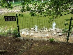 -北京张裕爱斐堡酒庄