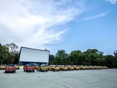 -枫花园汽车电影院(朝阳公园店)