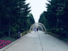 -长春市南湖公园