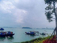 -海沧湾公园