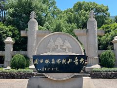 -大奇山国家森林公园