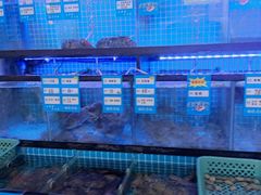 -冯姐生蚝(长隆横琴店)