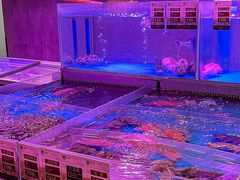 -金成潮菜博物馆(海珠湿地店)