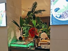 -海口鲁能希尔顿酒店-田园汇自助餐·三文鱼·海鲜